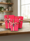 Caja de Regalo El Mundo De Sofia Serie 3 pz 23cm roja