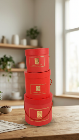 Caja De Regalo El Mundo De Sofia 3 pz 23 cm rojo redondo