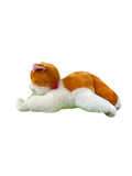 Peluche Gato Jack Chico El Mundo de Sofia 35cm
