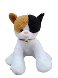 GATO CASCABEL #1