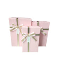 Caja de regalo El Mundo De Sofia Serie 3 PZ 23cm rosa