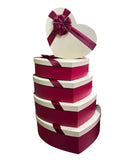 Caja El Mundo de Sofia 5pz regalo rojo 45cm de corazon
