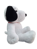SNOOPY COLLAR GIG