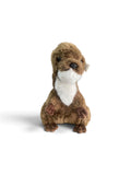 Peluche Nutria El Mundo De Sofia Importación 35cm
