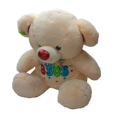 Oso de peluche XOXO mayoreo - El Mundo de Sofia